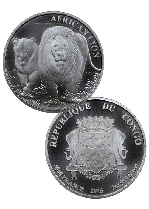 Congo Lion