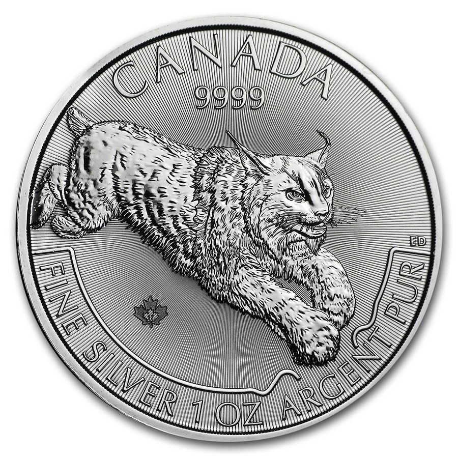 Silver Canadian Predator Series Lynx