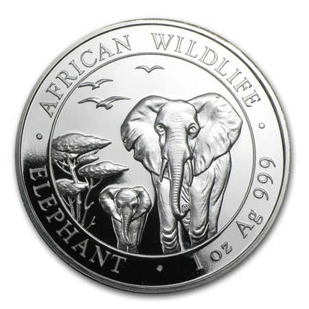 Silver Somali Elephant